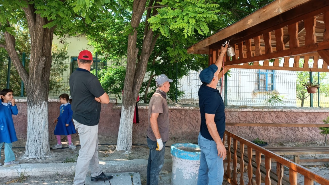 Okul bahçemizdeki kamelyanın bakımı ve boyası yapıldı.